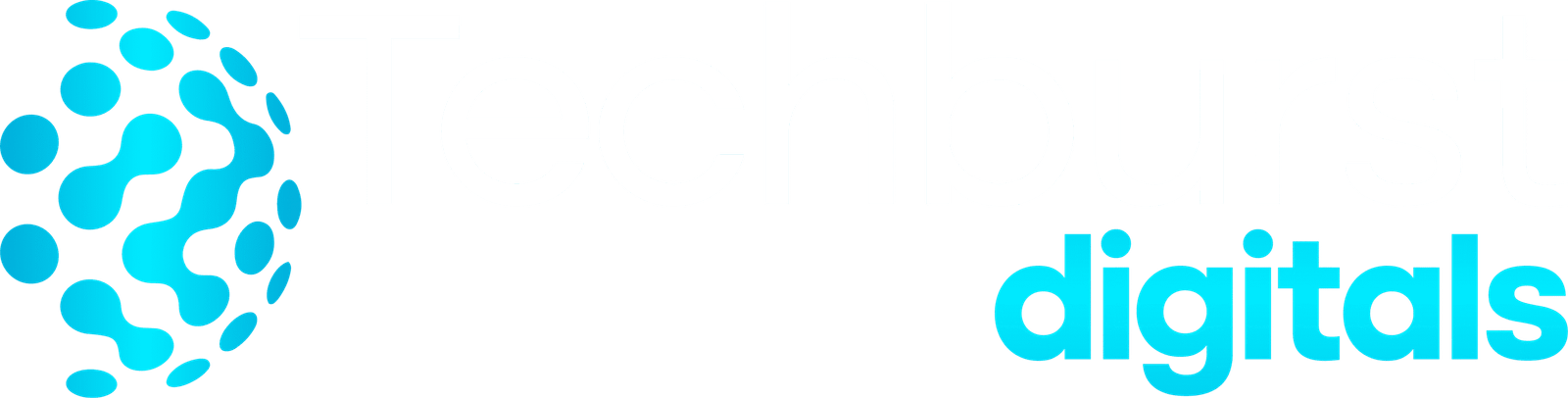 Techburst Digitals